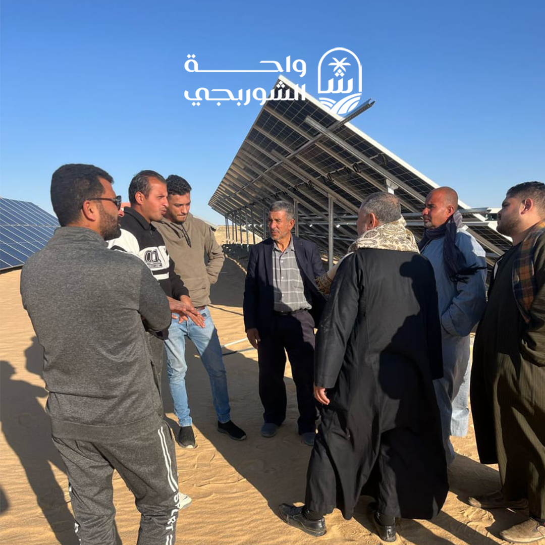 Investor Visits to ElShorbagy Farms